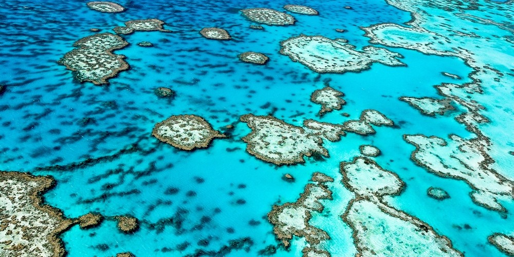 The Great Barrier Reef is the world’s biggest single structure made by living organisms.